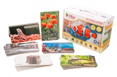 Мир на ладошке. Золотой выпуск. Набор карточек на 6 тем: Чудо-рыбы, Загадочные рептилии, Все работы хороши, Мой маленький оркестр, По следам динозавров, На цветочной полянке + методические рекомендации - Фото 1