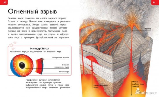 Новая энциклопедия для любознательных