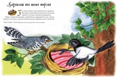 Мысық, тышқан мен торғайға неге өш? - Фото 1