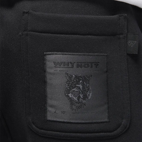 Брюки мужские Jordan Why Not? Black