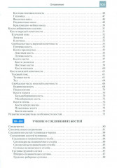 Атлас анатомии человека - Фото 1