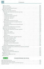 Атлас анатомии человека - Фото 6