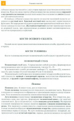 Атлас анатомии человека - Фото 7