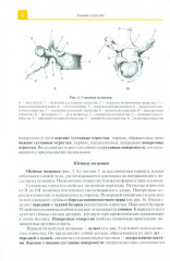 Атлас анатомии человека - Фото 9