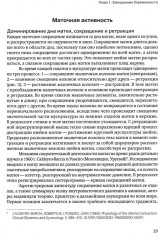 Классическое домашнее акушерство - Фото 10