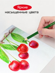 Набор карандашей цветных - Фото 5