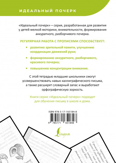 Русский язык. Учимся писать слова-заимствования