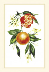 Лучший год моей жизни. Еженедельник - Фото 6