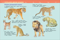 Кошки и котята. Энциклопедия для детского сада - Фото 1