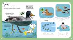 Главная книга малыша о животных - Фото 3