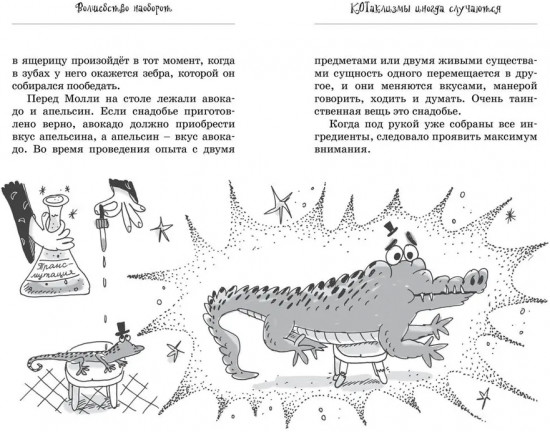 Кот колдуньи Молли. Волшебство наоборот