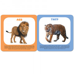 Животные зоопарка. Курс раннего развития 1+ - Фото 2