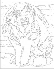 Colour by Numbers. Calm - Фото 3