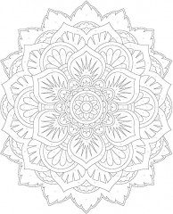 Colour by Numbers. Calm - Фото 4