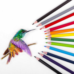 Набор карандашей цветных - Фото 4