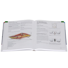 Оперативные доступы в травматологии и ортопедии - Фото 1