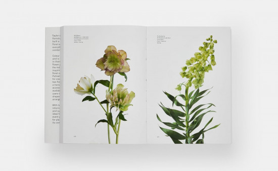 Flower Colour Guide