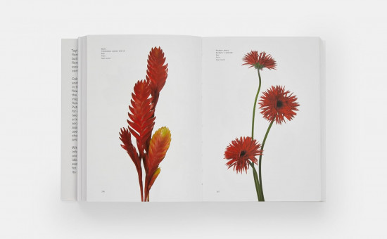 Flower Colour Guide