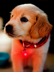 Трекер-подвеска световой - Фото 4