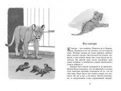 Фомка — белый медвежонок - Фото 2