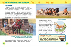 Животные фермы. Энциклопедия для детского сада - Фото 1