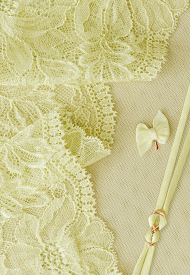 Бюстгальтер