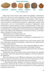 Штукатурно-декоративные и облицовочные работы - Фото 7
