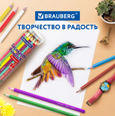 Карандаши цветные - Фото 11