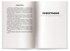 Русский язык. Практикум по орфографии и пунктуации - Фото 1