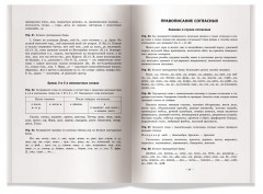 Русский язык. Практикум по орфографии и пунктуации - Фото 2