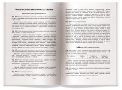 Русский язык. Практикум по орфографии и пунктуации - Фото 3