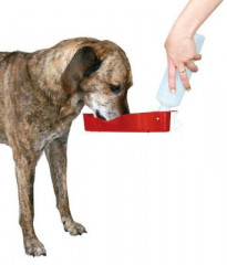 Бутылка дорожная для воды (250 мл) - Фото 2