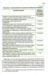Психология общения в дошкольном возрасте - Фото 4