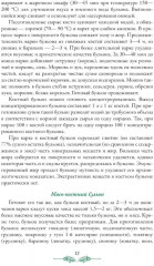 Организация процесса приготовления и приготовления сложной горячей кулинарной продукции - Фото 8