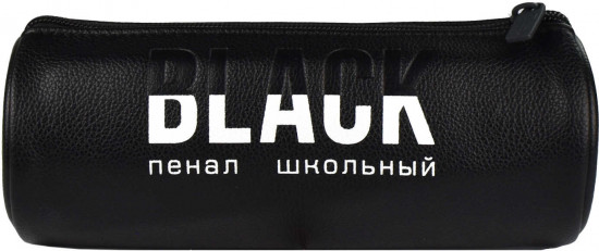 Пенал школьный