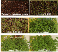 3D пазл из пенокартона «Сельский пейзаж» - Фото 5