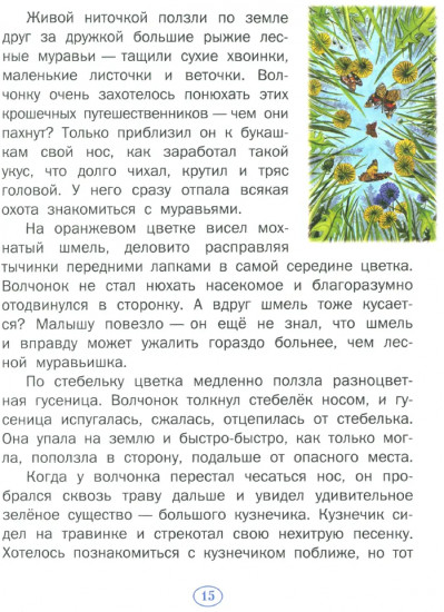 История одного волчонка