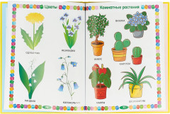 Моя первая книга. Энциклопедия для малышей. От 6 месяцев до 3 лет - Фото 1