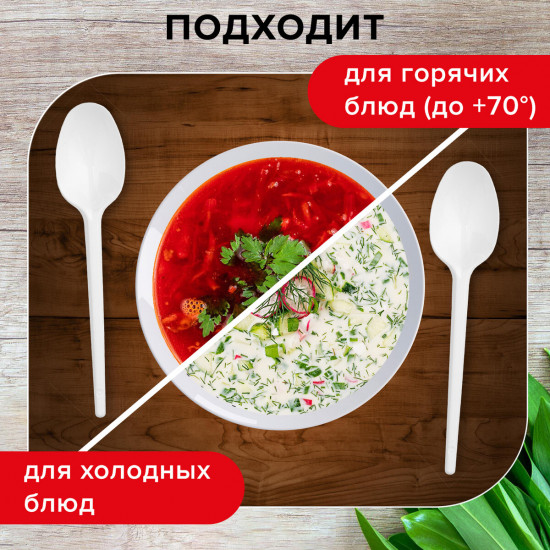 Набор ложек одноразовых