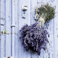 Настенный календарь-органайзер «Прованс 2025» - Фото 5