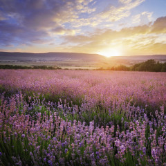 Настенный календарь-органайзер «Родные просторы 2025» - Фото 8