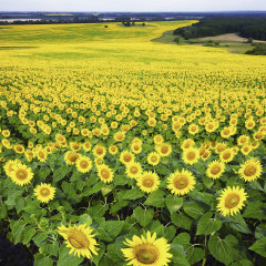 Настенный календарь-органайзер «Родные просторы 2025» - Фото 15