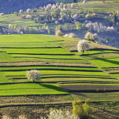 Настенный календарь-органайзер «Родные просторы 2025» - Фото 16