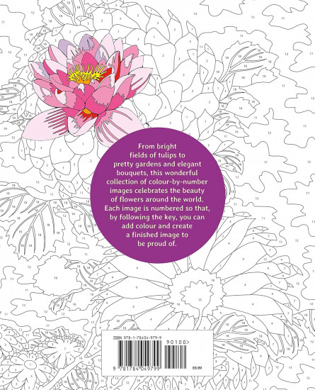 Flowers Colour By Numbers