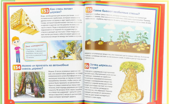 Энциклопедия для маленьких почемучек и любознашек
