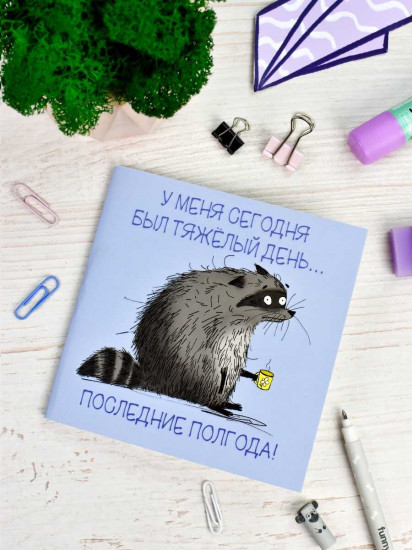 Блокнот «Сонный енот»
