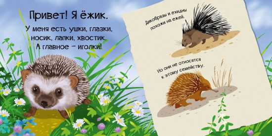 Знакомься, я ёжик