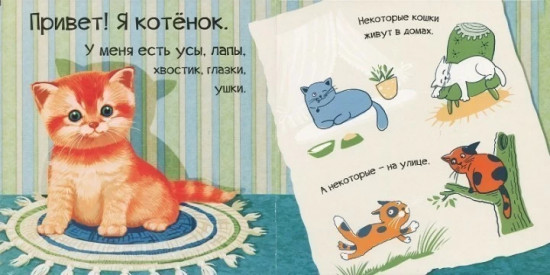Знакомься, я котёнок