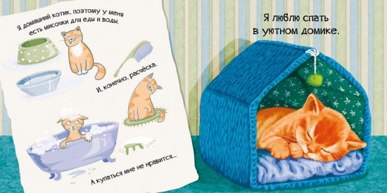 Знакомься, я котёнок