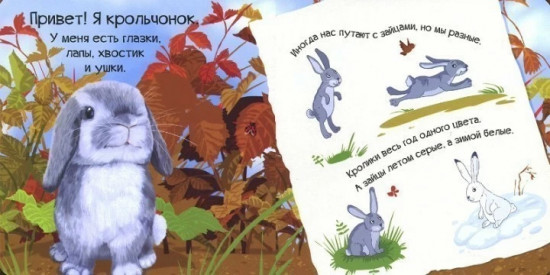 Знакомься, я кролик